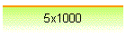 5x1000